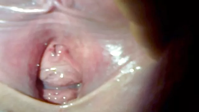 Des femmes excitées baisent alternativement un video x gay gratuite mec