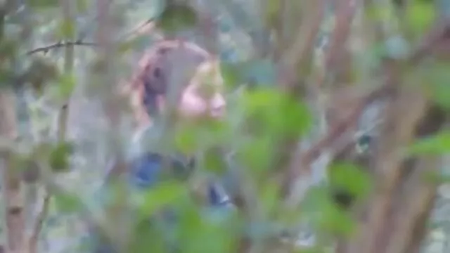 Une film x gra vierge mignonne se fait prendre dans l'hymen