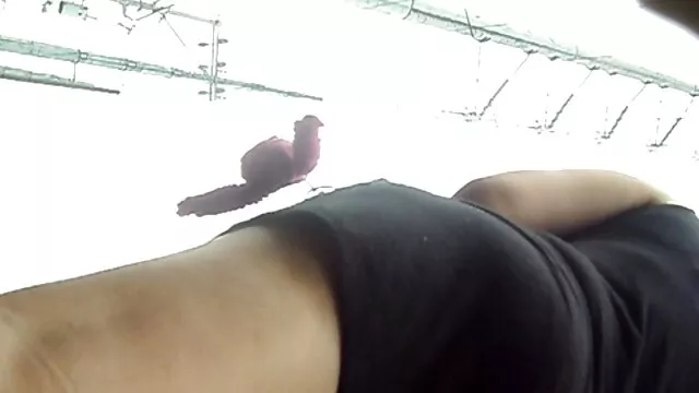 Vieille femme russe film porno avec femme enceinte se fait enculer